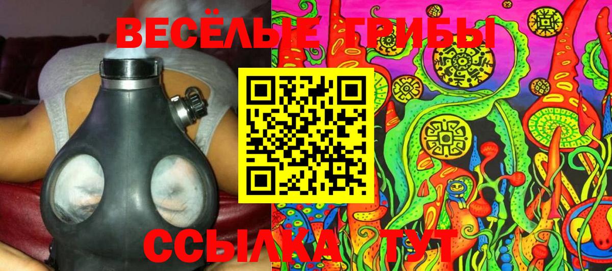 где купить наркоту  Псилоцибиновые грибы Cubensis  Вход с VPN  Новый Уренгой 